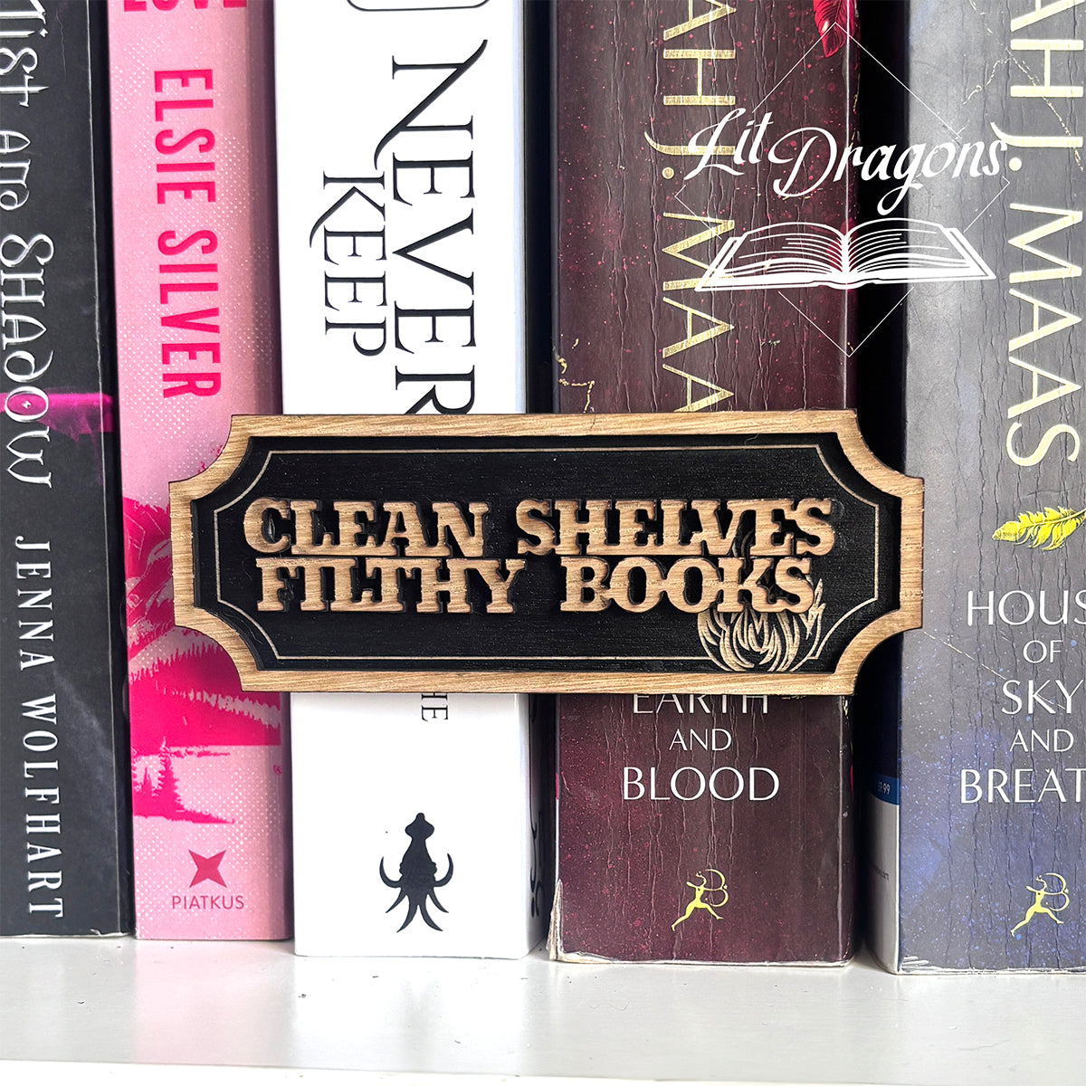 Clean shelves, Filthy Books fun bookshelf Sign - Floating Shelf Decor