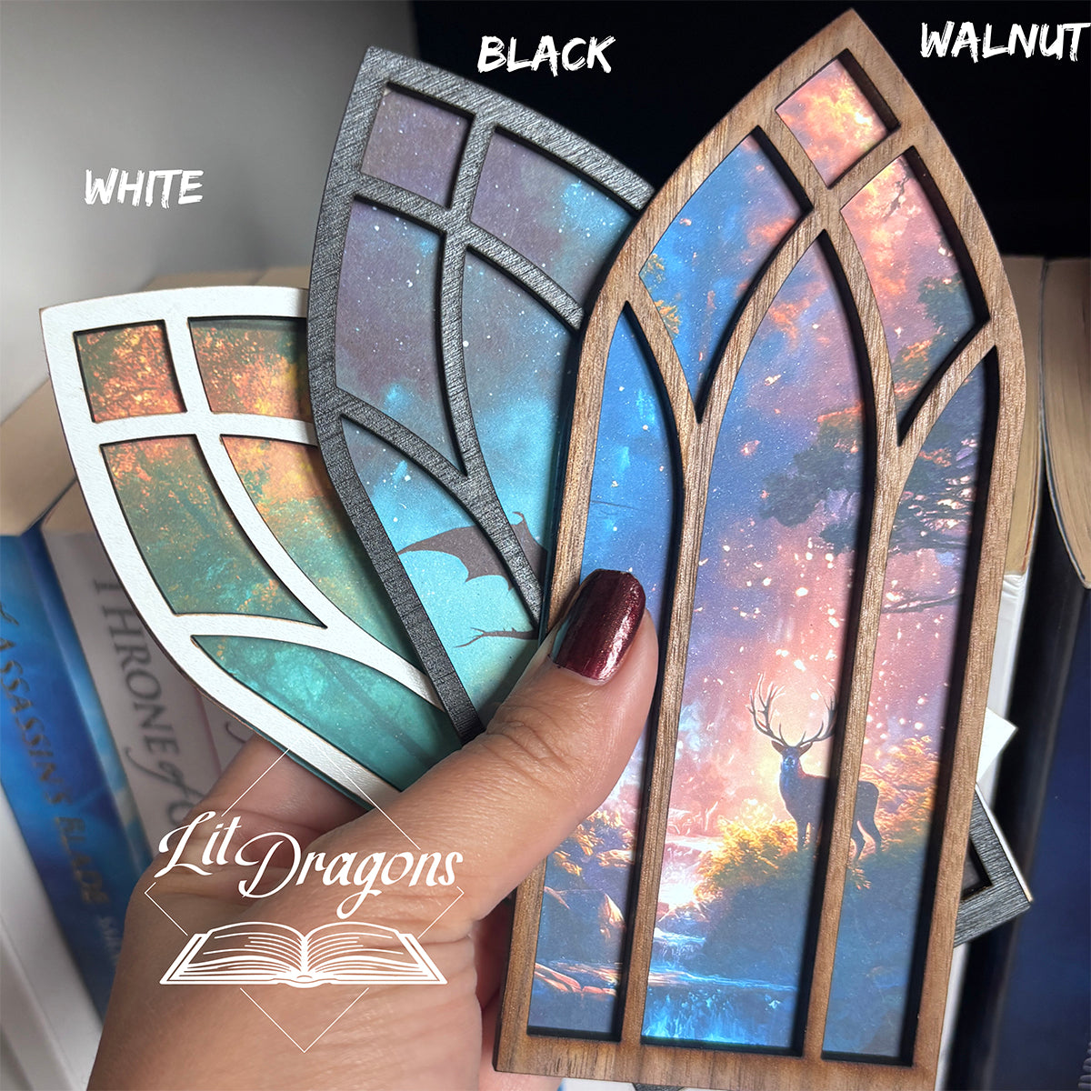 Fantasy Dragon on a cliff, Window Bookmark box, Bookcase Window with Bookmark box