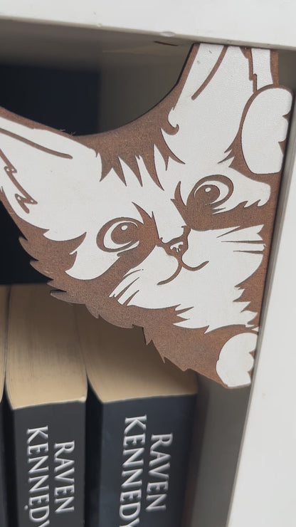 Cat Corner Shelf Hanger