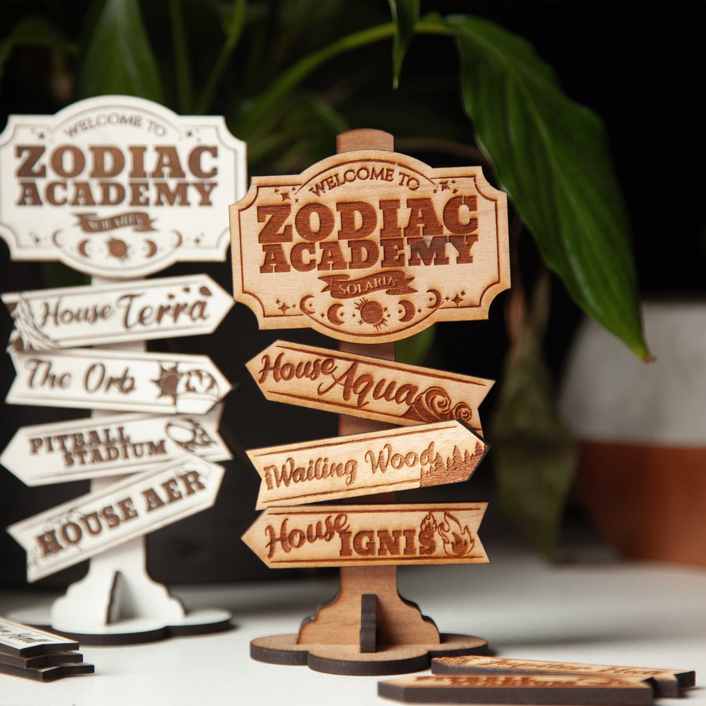 Zodiac Academy Officially Licensed ZA Signpost